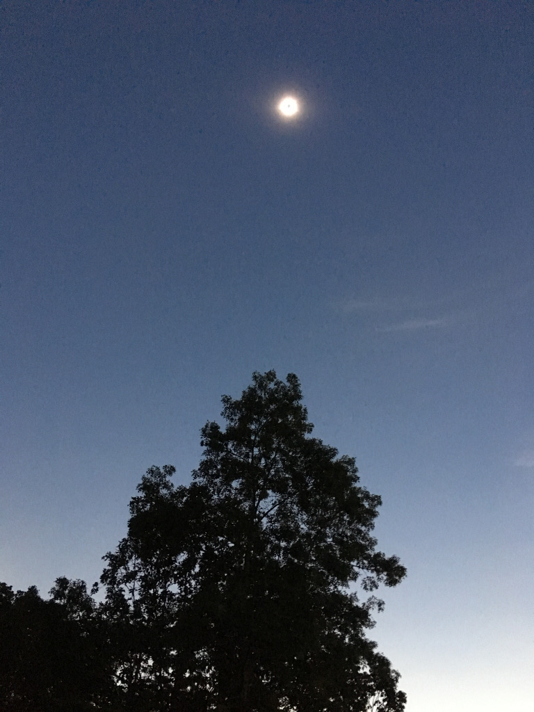 Bunny Hopping Trails A Travel Blog